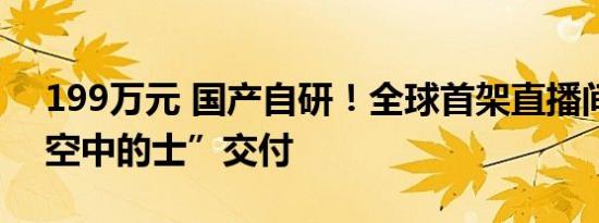 199万元 国产自研！全球首架直播间成交“空中的士”交付