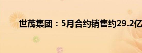 世茂集团：5月合约销售约29.2亿元