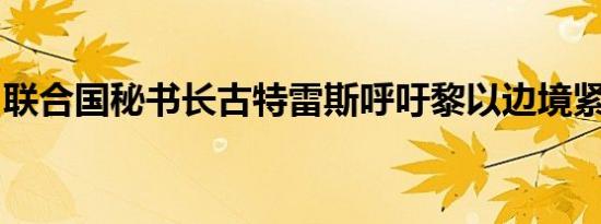 联合国秘书长古特雷斯呼吁黎以边境紧急停火