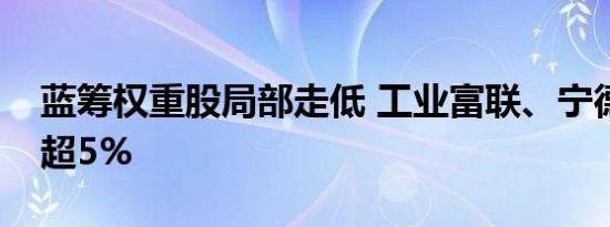 蓝筹权重股局部走低 工业富联、宁德时代跌超5%