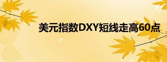 美元指数DXY短线走高60点