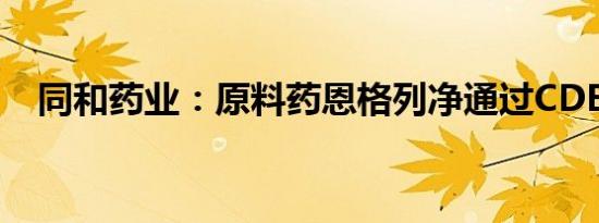 同和药业：原料药恩格列净通过CDE审批