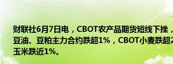 财联社6月7日电，CBOT农产品期货短线下挫，CBOT大豆、豆油、豆粕主力合约跌超1%，CBOT小麦跌超2%，CBOT玉米跌近1%。