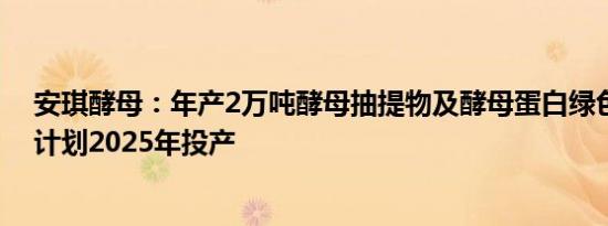 安琪酵母：年产2万吨酵母抽提物及酵母蛋白绿色制造项目计划2025年投产