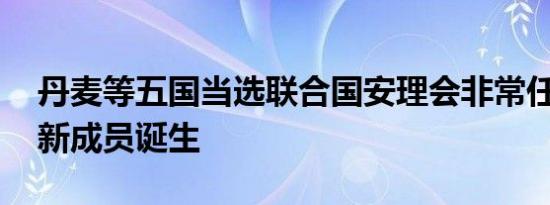 丹麦等五国当选联合国安理会非常任理事国 新成员诞生