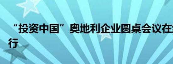 “投资中国”奥地利企业圆桌会议在维也纳举行