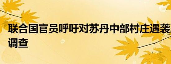 联合国官员呼吁对苏丹中部村庄遇袭展开彻底调查