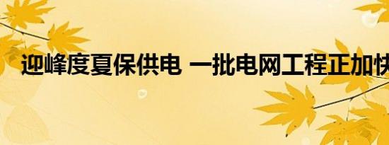 迎峰度夏保供电 一批电网工程正加快推进