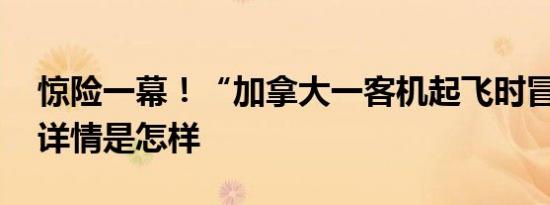 惊险一幕！“加拿大一客机起飞时冒火光” 详情是怎样