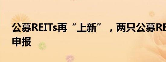 公募REITs再“上新”，两只公募REITs同日申报