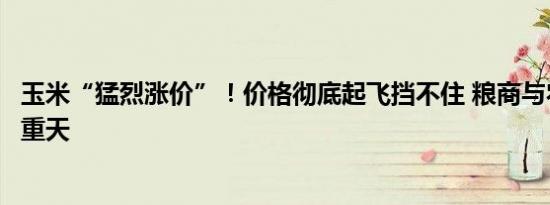 玉米“猛烈涨价”！价格彻底起飞挡不住 粮商与农户冰火两重天