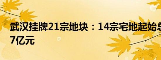 武汉挂牌21宗地块：14宗宅地起始总价97.47亿元