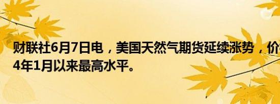财联社6月7日电，美国天然气期货延续涨势，价格升至2024年1月以来最高水平。