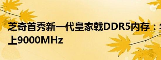 芝奇首秀新一代皇家戟DDR5内存：华丽丽飙上9000MHz