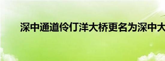 深中通道伶仃洋大桥更名为深中大桥