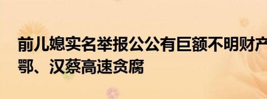 前儿媳实名举报公公有巨额不明财产 疑涉汉鄂、汉蔡高速贪腐