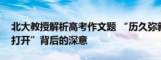 北大教授解析高考作文题 “历久弥新”与“打开”背后的深意