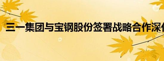 三一集团与宝钢股份签署战略合作深化协议