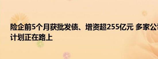 险企前5个月获批发债、增资超255亿元 多家公司“补血”计划正在路上