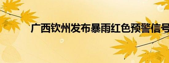 广西钦州发布暴雨红色预警信号