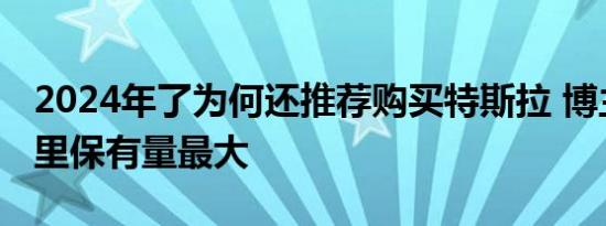 2024年了为何还推荐购买特斯拉 博主：纯电里保有量最大