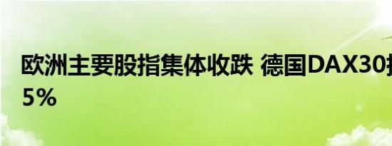 欧洲主要股指集体收跌 德国DAX30指数跌0.5%