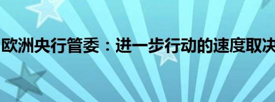 欧洲央行管委：进一步行动的速度取决于数据