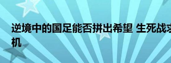 逆境中的国足能否拼出希望 生死战求一线生机