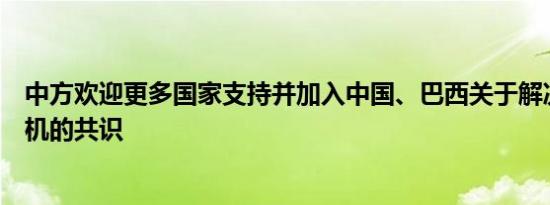 中方欢迎更多国家支持并加入中国、巴西关于解决乌克兰危机的共识