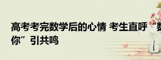 高考考完数学后的心情 考生直呼“数学我恨你”引共鸣