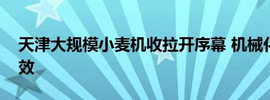 天津大规模小麦机收拉开序幕 机械化提速增效