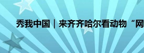 秀我中国｜来齐齐哈尔看动物“网红”