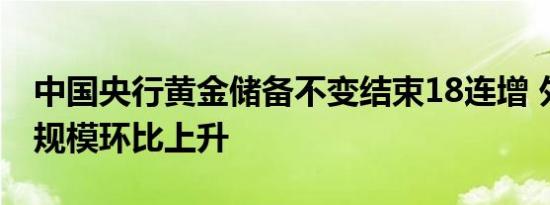 中国央行黄金储备不变结束18连增 外汇储备规模环比上升