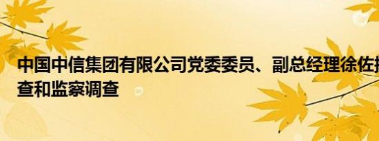 中国中信集团有限公司党委委员、副总经理徐佐接受纪律审查和监察调查