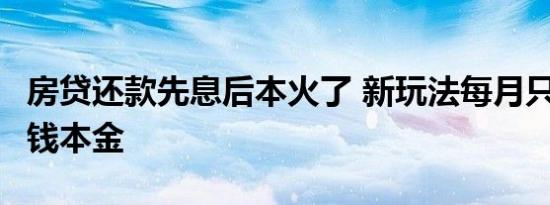 房贷还款先息后本火了 新玩法每月只需还1元钱本金