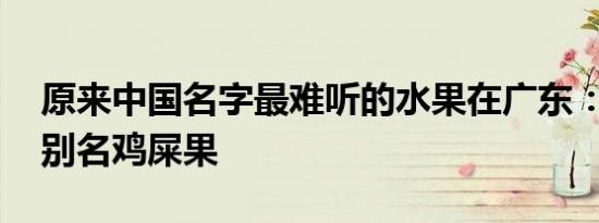 原来中国名字最难听的水果在广东：番石榴 别名鸡屎果