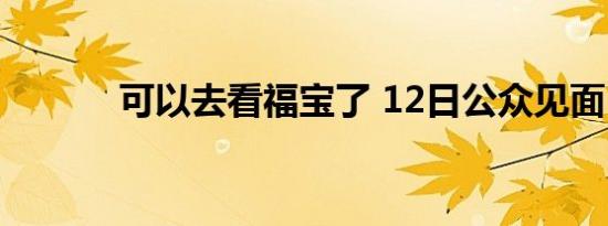 可以去看福宝了 12日公众见面