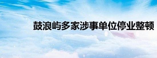 鼓浪屿多家涉事单位停业整顿