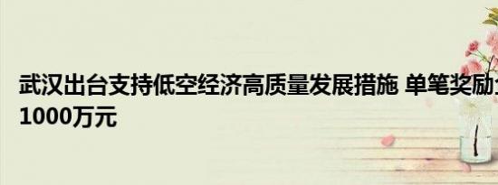 武汉出台支持低空经济高质量发展措施 单笔奖励企业资金达1000万元