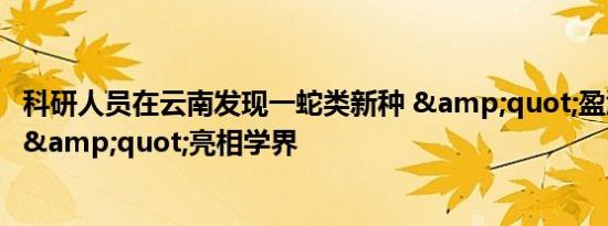 科研人员在云南发现一蛇类新种 &quot;盈江烙铁头蛇&quot;亮相学界