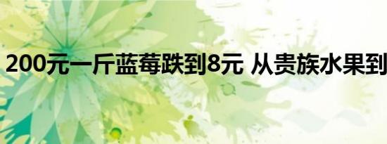 200元一斤蓝莓跌到8元 从贵族水果到平民价