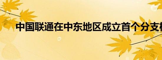 中国联通在中东地区成立首个分支机构