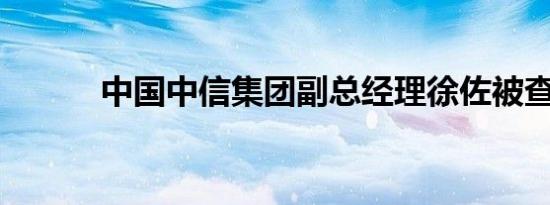 中国中信集团副总经理徐佐被查