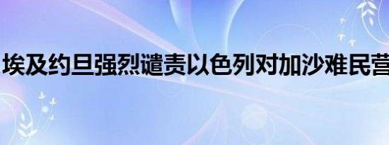 埃及约旦强烈谴责以色列对加沙难民营的袭击