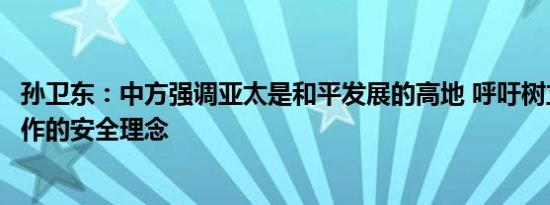 孙卫东：中方强调亚太是和平发展的高地 呼吁树立平等、合作的安全理念