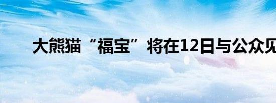 大熊猫“福宝”将在12日与公众见面