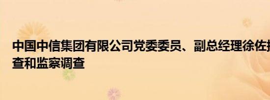 中国中信集团有限公司党委委员、副总经理徐佐接受纪律审查和监察调查