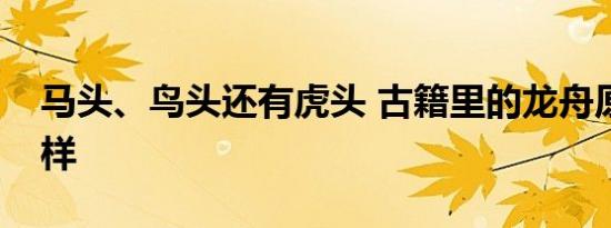 马头、鸟头还有虎头 古籍里的龙舟原来长这样