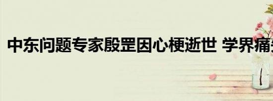 中东问题专家殷罡因心梗逝世 学界痛失巨擘