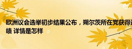 欧洲议会选举初步结果公布，朔尔茨所在党获得迄今最差成绩 详情是怎样